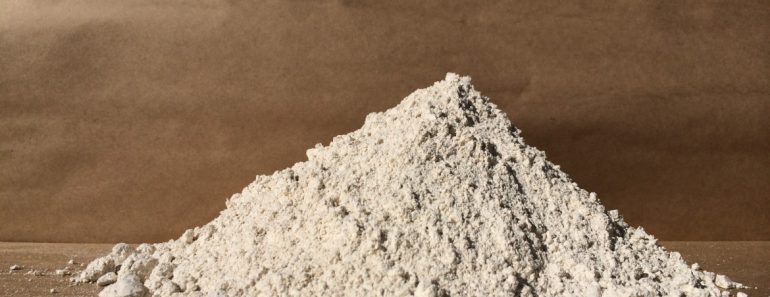 10 Incredible Off-Grid Uses For Diatomaceous Earth