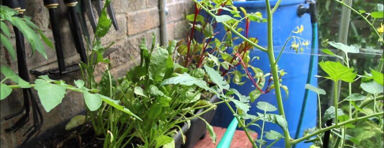 Prepper Garden Prepper Garden