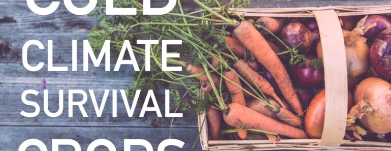Survival Garden Crops To Grow In Canada. MUST WATCH. | Gardening in Canada