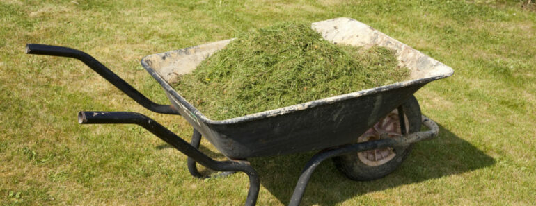 Great Summertime “Off-The-Grid” Grass Clipping Uses