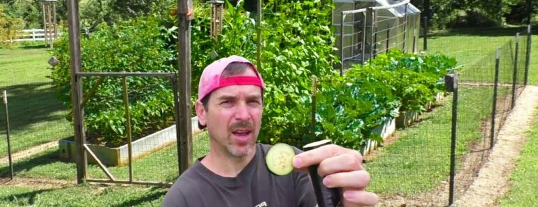 Garden HARVEST June 18th and ANIMAL Control FENCING Motion Activated Sprinkler container gardening