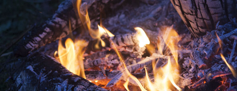 Can I Cook Outside Without Attracting People & Animals?