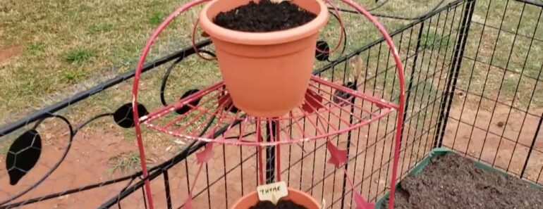 GET YOUR FOOD PLANTED!
