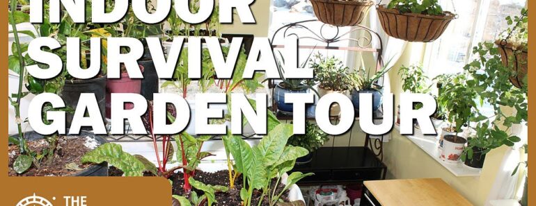 Come Tour Our Indoor Survival Garden – January 2021