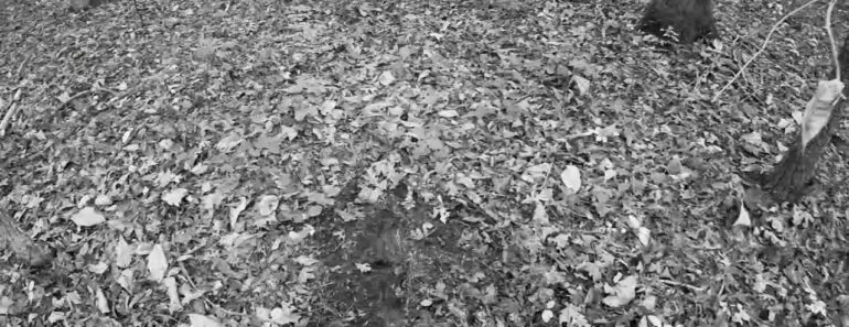 Wheel Survive Outdoors (The Beginning)