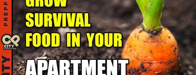 25 Survival Vegetables To Grow In Your Apartment (pt2)