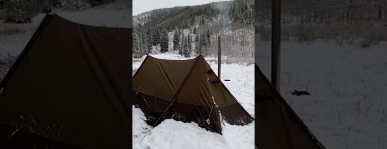 Survive Outdoors Below Freezing #shorts