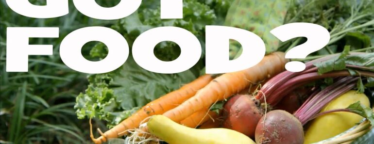 Top 20 SURVIVAL GARDEN Crops