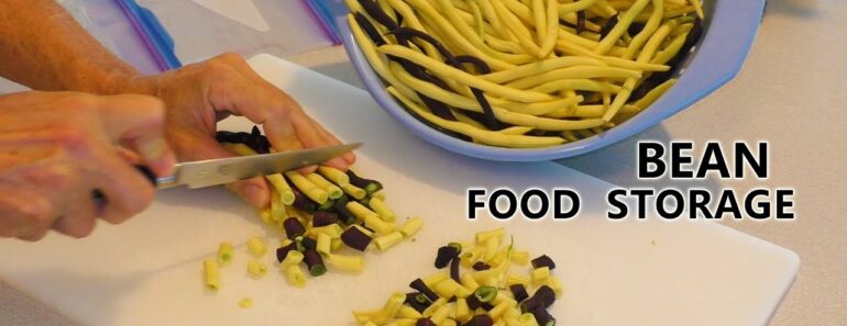 Bean HARVEST for the Freezer FOOD STORAGE Prepper Pantry Garden