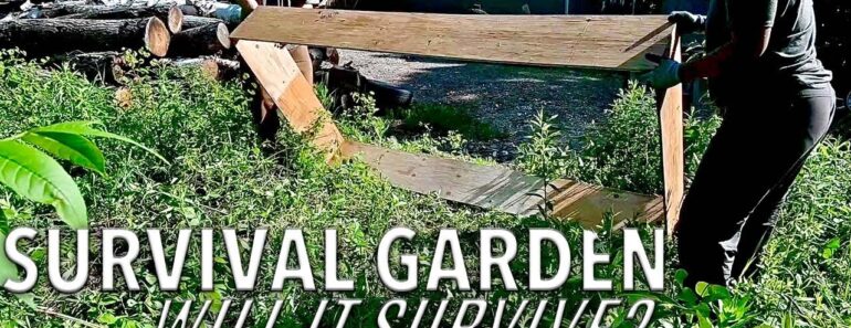 6 Tips for Growing Survival Garden Crops – Making Your Home or Homestead More Sustainable