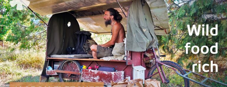 Homeless shepherd shares hunter-gatherer diet & survival tips