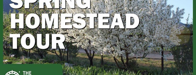 Building Self-Reliance: The Provident Prepper’s April Homestead Tour