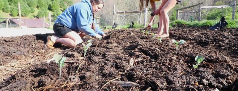 Epic SPRING Survival Garden on the Homestead!