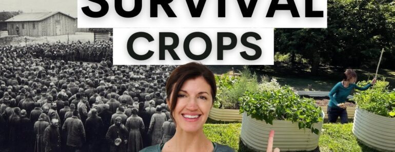 Survival Crops to Grow during Hard Times (with examples from history)