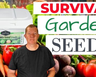 Prepper Garden Seeds – Survival Garden Seeds Review