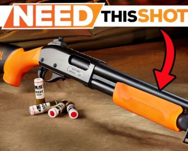 Best Home Defense Shotgun 2024! Who Is The NEW #1?