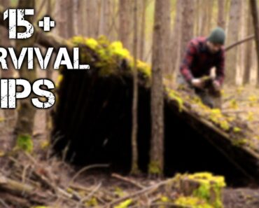 15 Wilderness Bushcraft Skills For Surviving 100 Days Alone in