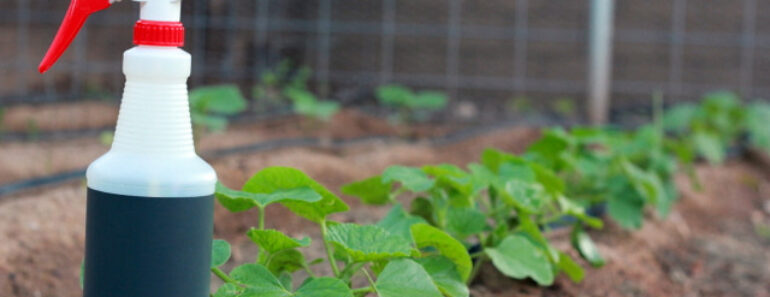 Five Natural Garden Pesticides That Really Work