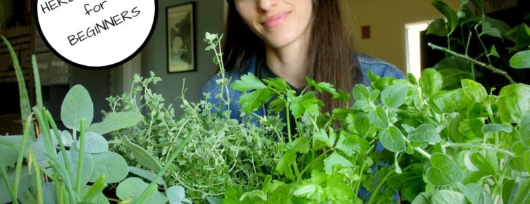 Why You Need an Herbal Garden: A Comprehensive Guide