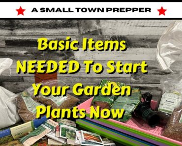 Prepper Garden Growing: Essential Veggie Seeds and Basic Supplies for a Successful Seed To Harvest