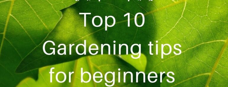 Top 10 Gardening Tips for Beginners