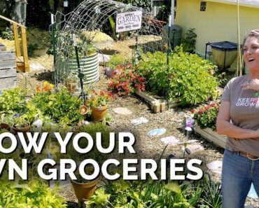 She Grows 80% Of Her Produce For a Family of 5  | Suburban Garden Tour