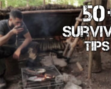 Survive the Wild: 50+ Survival Tips & Bushcraft Skills