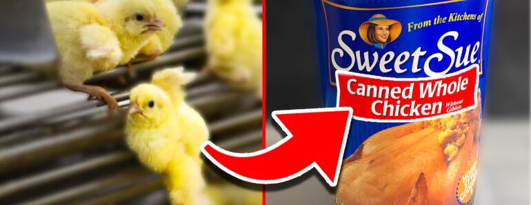 10 SURVIVAL Foods Every Prepper Should Stockpile