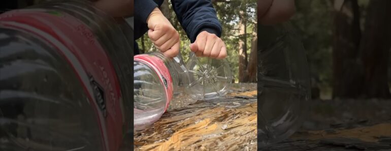 How to Survive in the Forest without Spoon and Plate