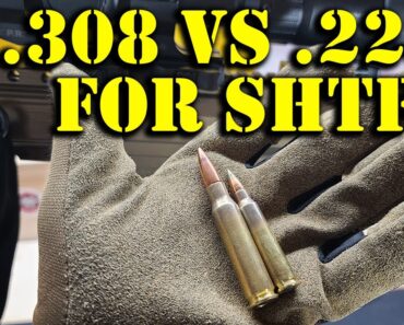 Why 308 Is BETTER Than 223 | What Caliber For SHTF