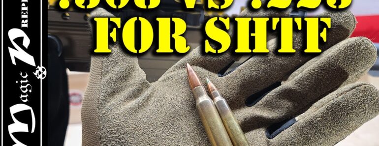 Why 308 Is BETTER Than 223 | What Caliber For SHTF