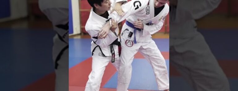 Gracie Jiu Jitsu Self Defense