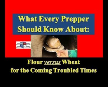 Prepper Food: What Every Prepper Should Know: Storing Flour versus