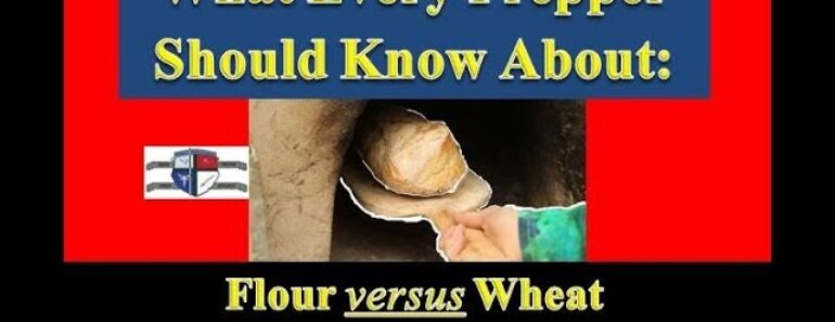 Prepper Food: What Every Prepper Should Know: Storing Flour versus