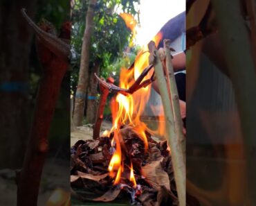 Shrimp Fish Fry. cooking #buscraft #ytshorts #outdoors #survive #outdoors.