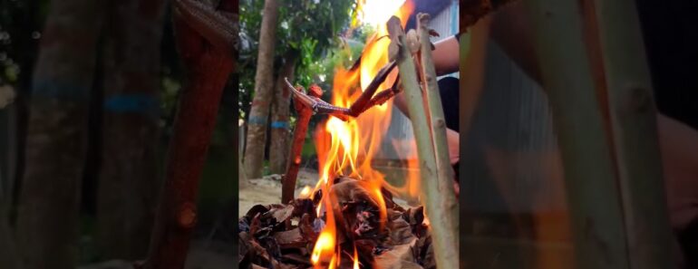 Shrimp Fish Fry. cooking #buscraft #ytshorts #outdoors #survive #outdoors.