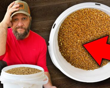 30 Year Supply Of Survival Food Ruined!