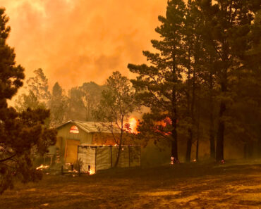 Thousands of Californians Lose Electric Power as PG&E Implements Power