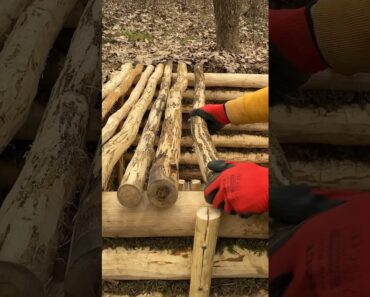 DUGOUT IN THE FOREST #building #bushcraft #dugout #survival #forest