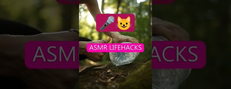 She will survive in any forest#camping #survival #bushcraft #outdoors #asmr