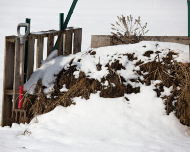 Composting in Cold Weather for a Thriving Spring “Super-Garden”