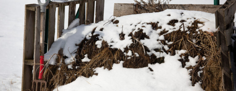 Composting in Cold Weather for a Thriving Spring “Super-Garden”