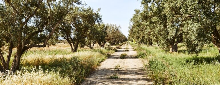 A New Year of Redemptive Optimism