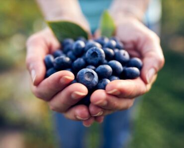 The Power of Blueberries: Natural Support for Brain and Heart