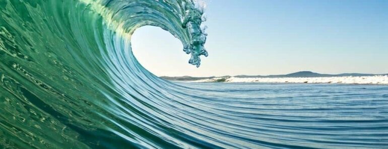 Revitalizing Garden Soil With Ocean Minerals